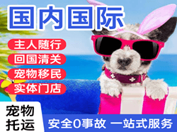 满洲里航空邮寄国际宠物托运 【国